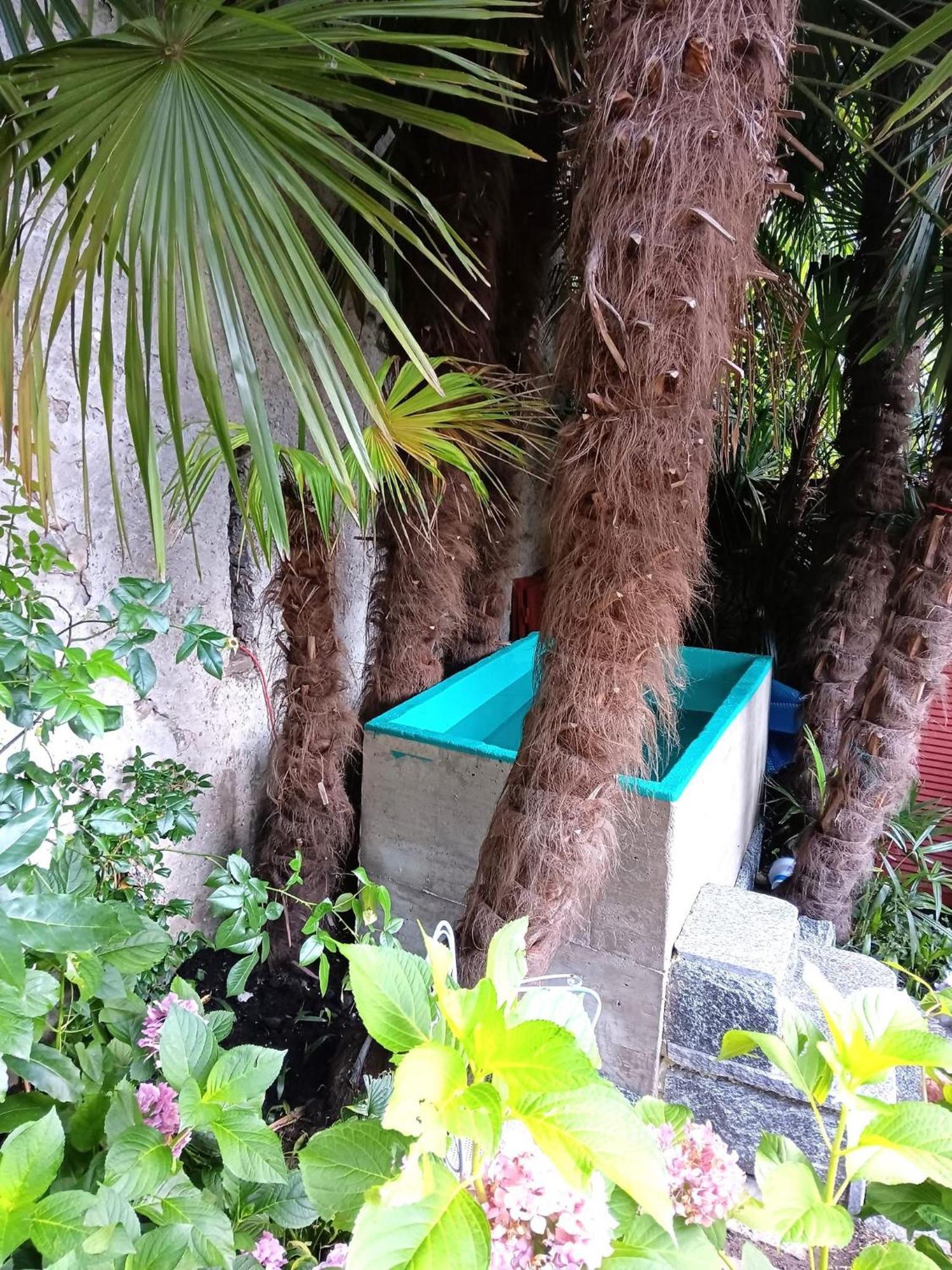 Casa Belgeri - Bed & Breakfast Dongio Ngoại thất bức ảnh